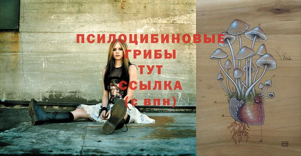 марки nbome Вяземский