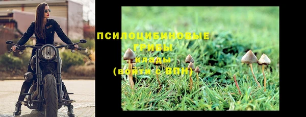 эйфоретик Вязники